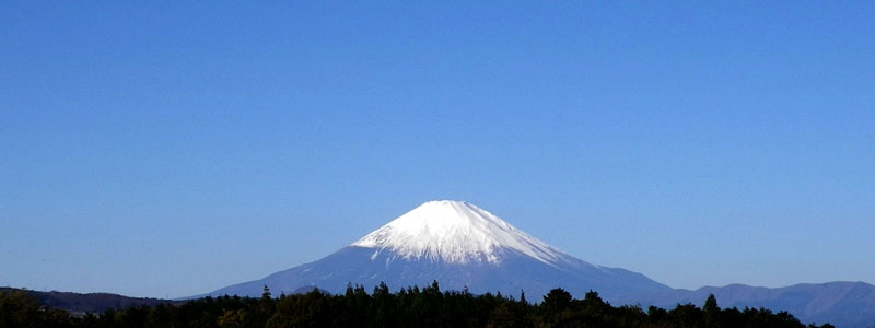 隠れ居酒屋わにのへそ